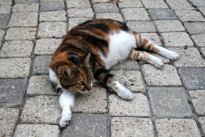 2009-08 Mia 004 .JPG